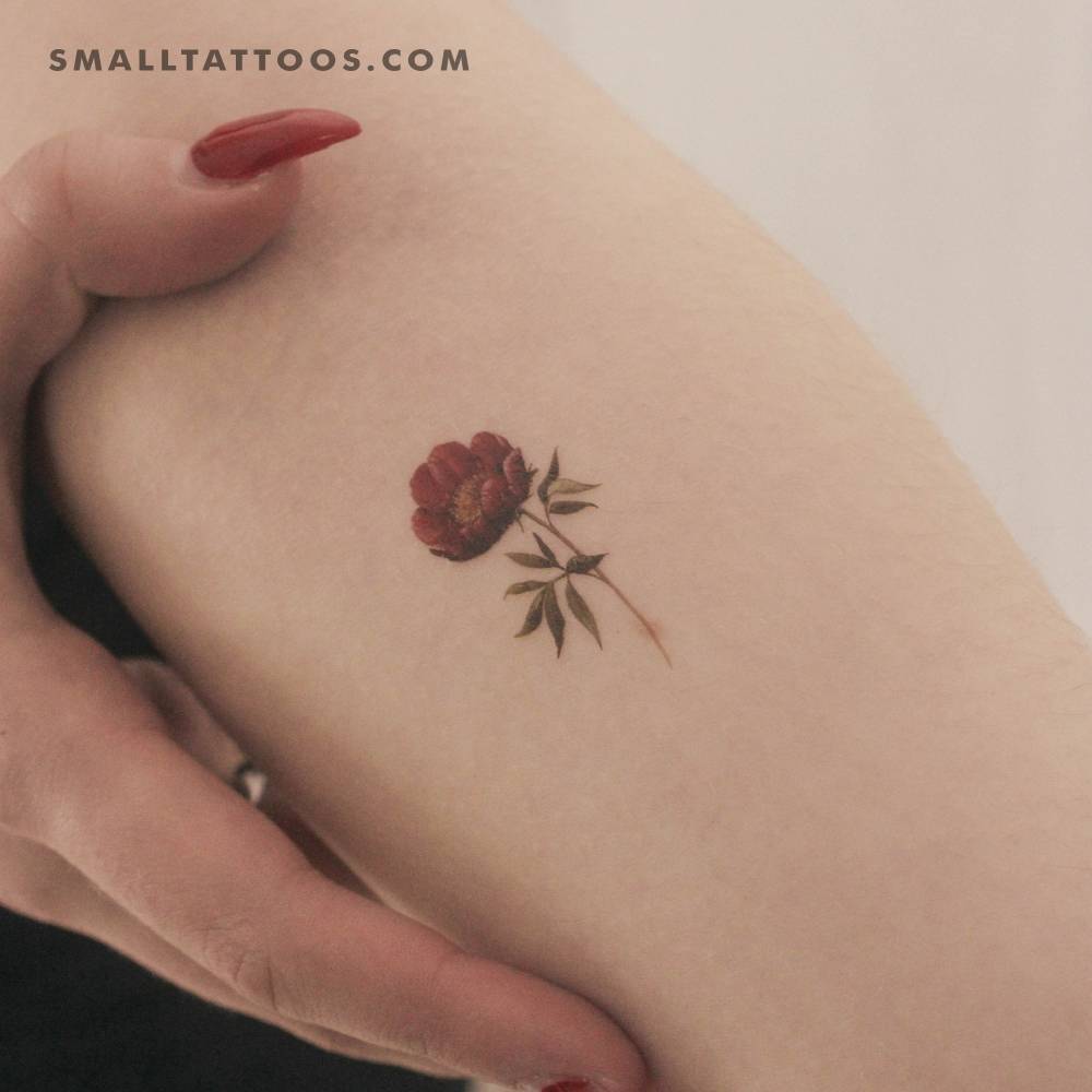 Watercolor style garnet peony temporary tattoo placed on the inner forearm.