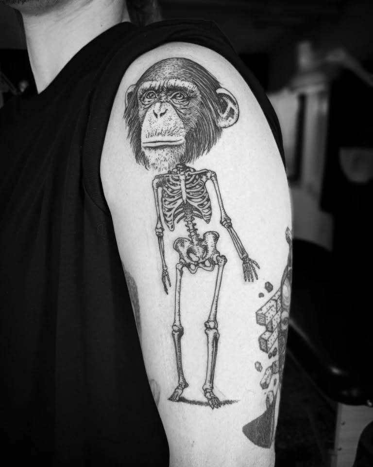 Humankind - Back to the origin vs human evolution?
