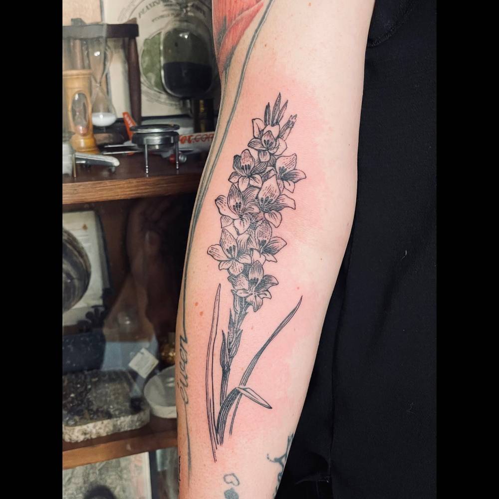 Engraving style gladiolus flowers tattooed on the inner forearm.