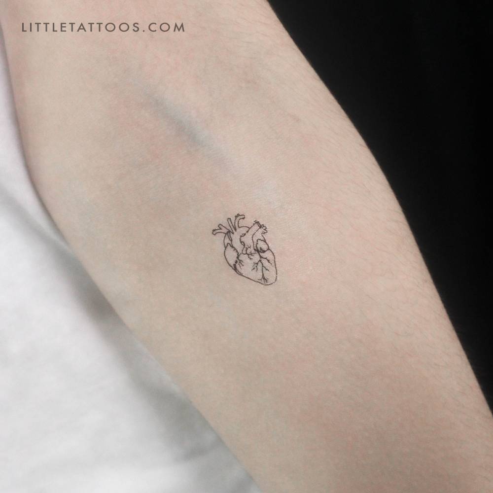 Small fine line anatomical heart temporary tattoo located on the inner forearm.