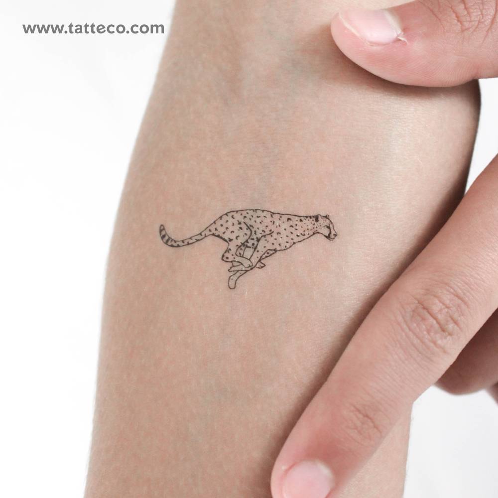 Illustrative style cheetah temporary tattoo located on the inner forearm.