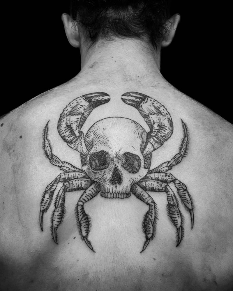 Contemporary anatomy n*6.