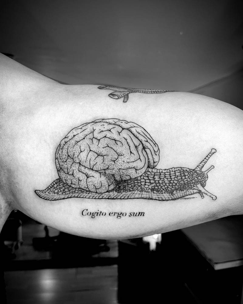 Cogito ergo sum (take your time).