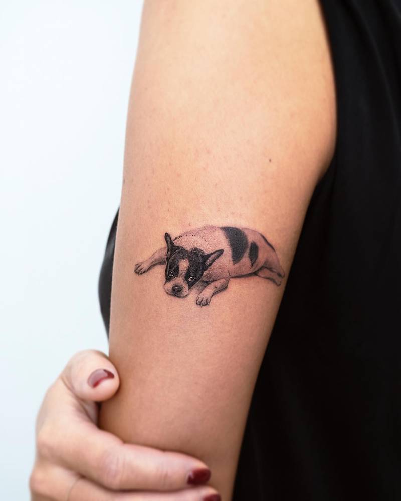 Micro-realistic style French Bulldog tattoo located on the tricep.