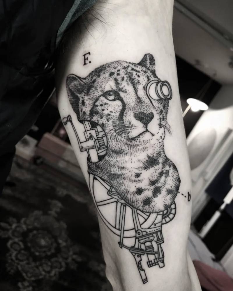 Deus Ex Machina (Running Cheetah).