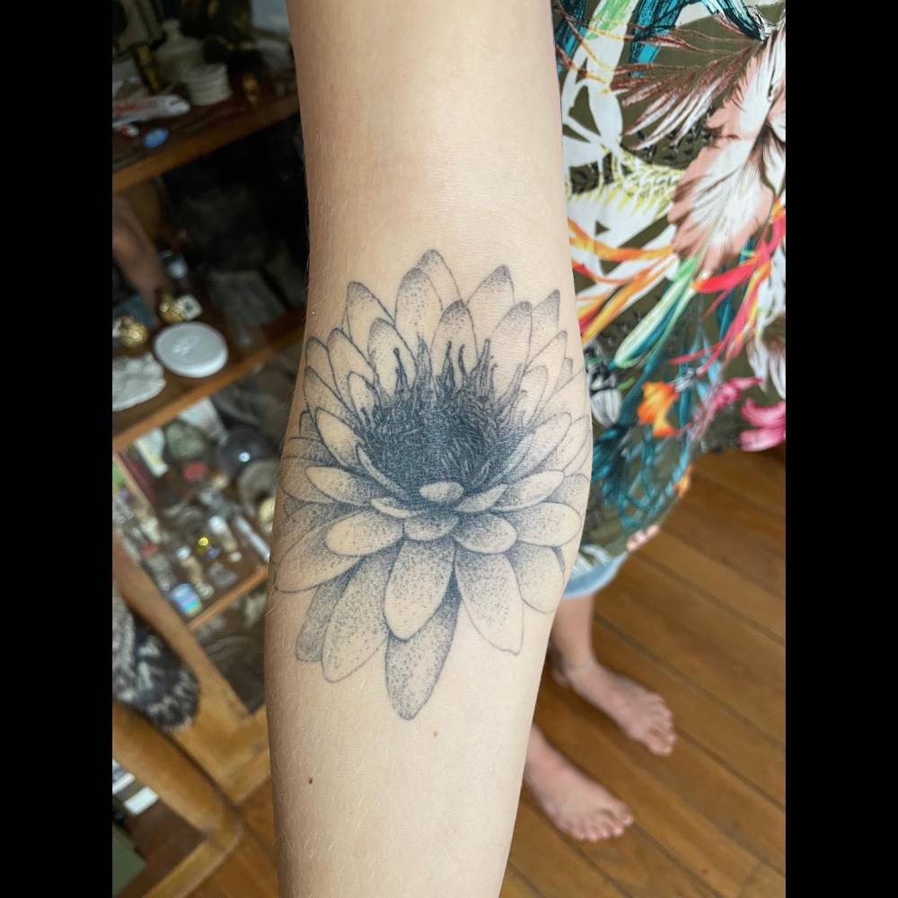 2 years healed chrysanthemum tattoo located on the inner forearm.