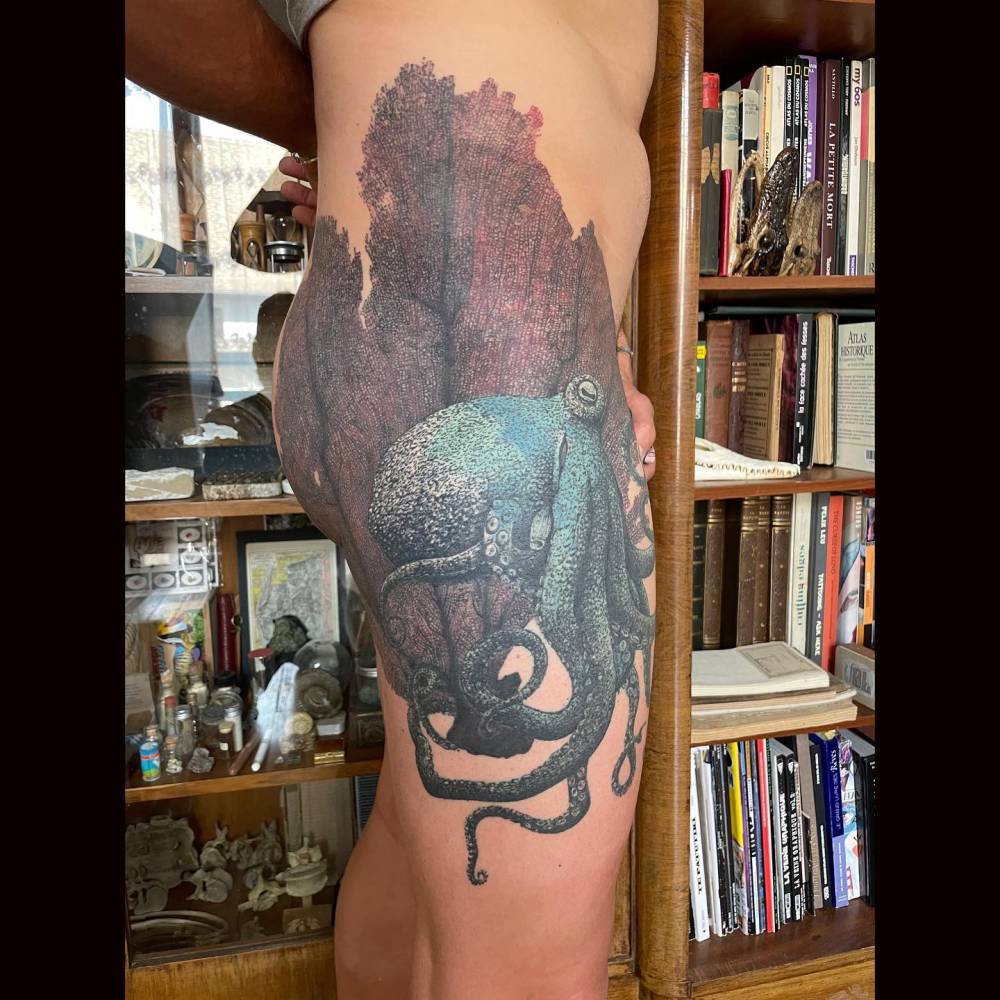 Huge octopus tattoo done in graphic style.