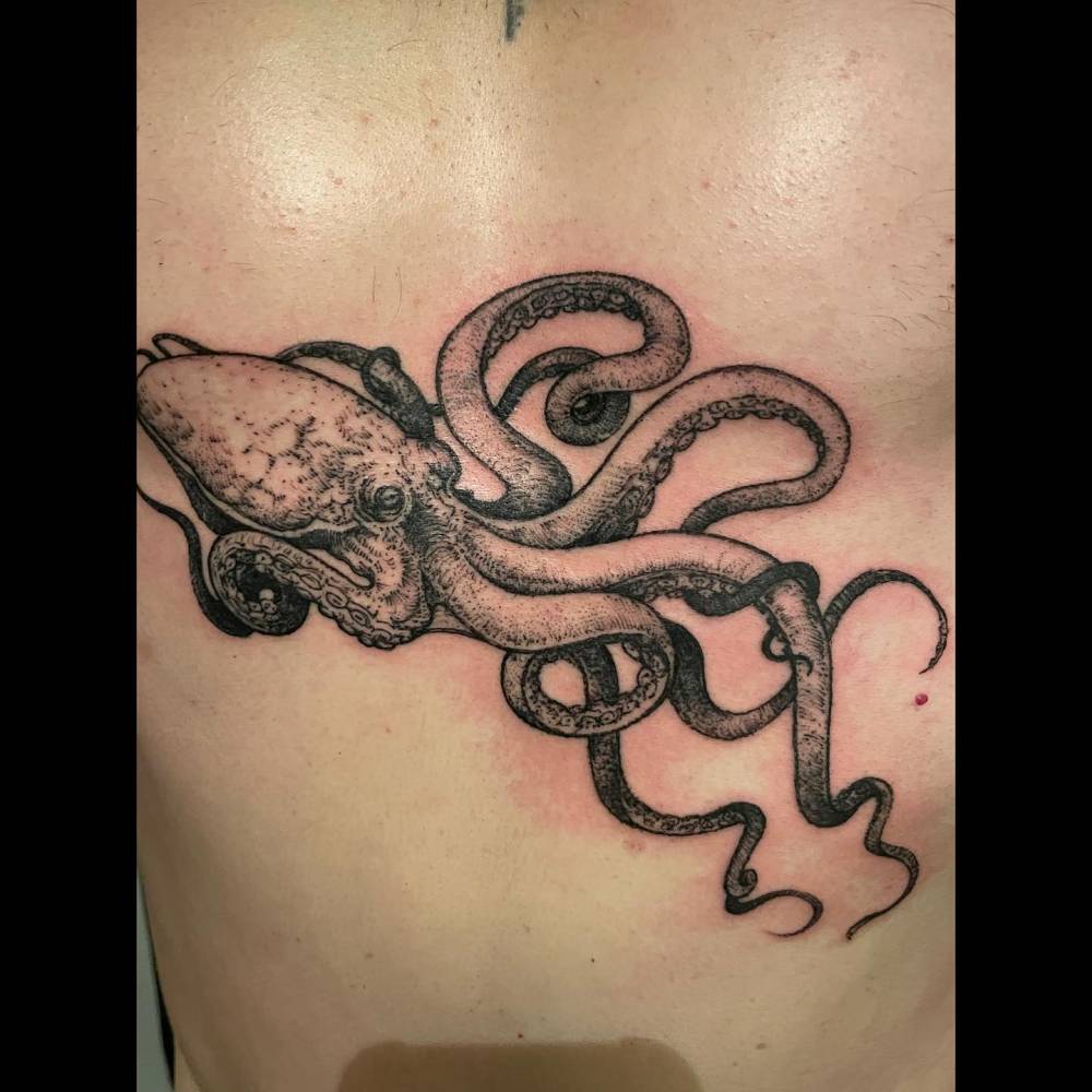 Blackwork style octopus tattoo placed on the stomach.