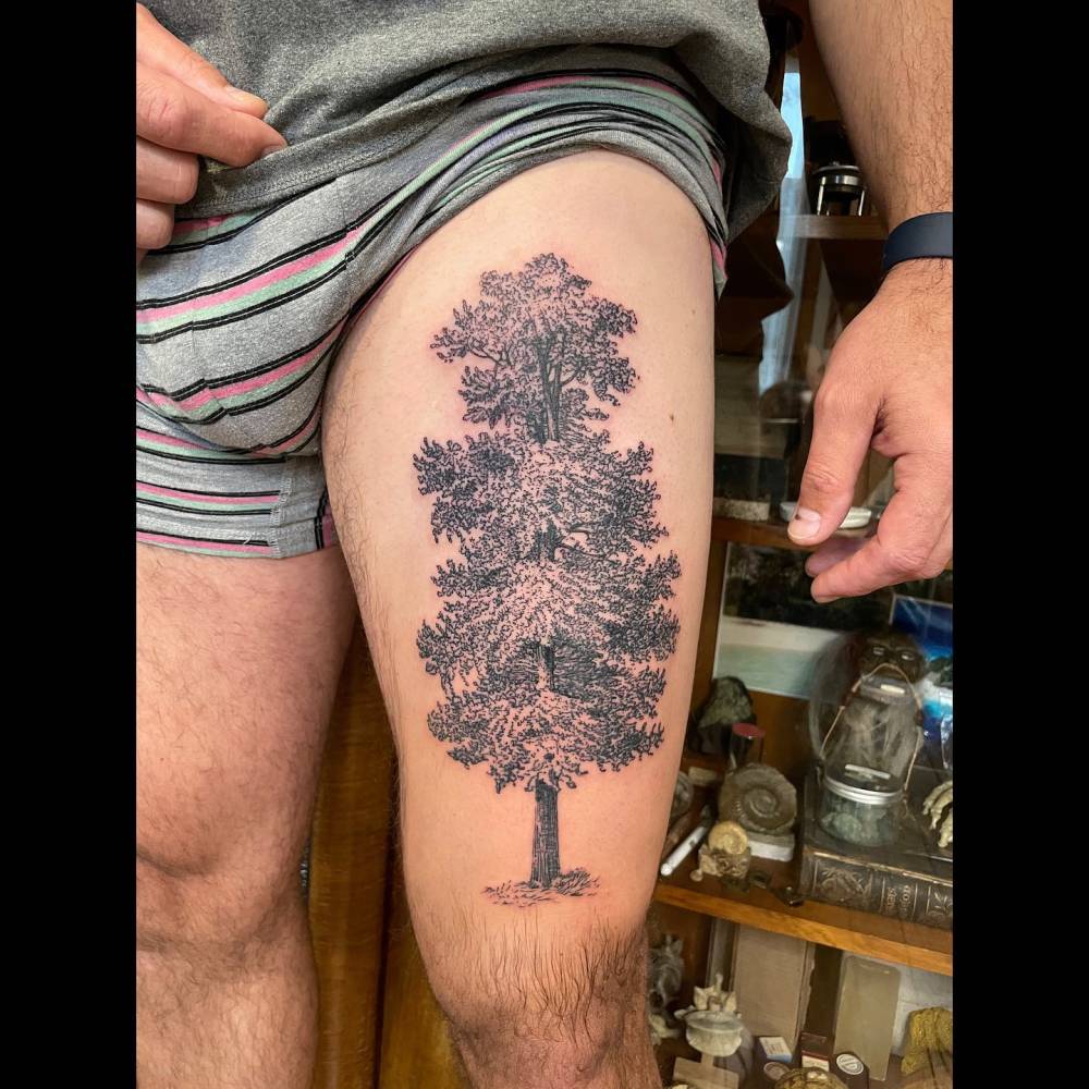 Blackwork style pine tree tattoo located on the thigh.