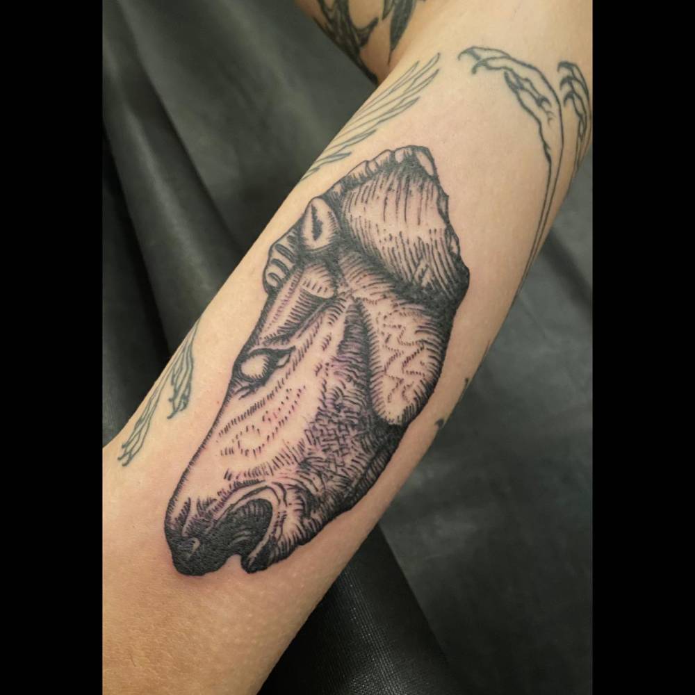 Horse portrait tattoo in engraving style located on the forearm.