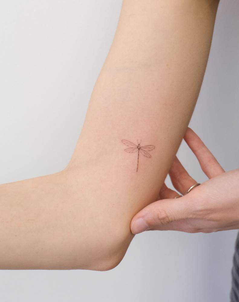 Little dragonfly tattoo in fine line style located on the inner arm.