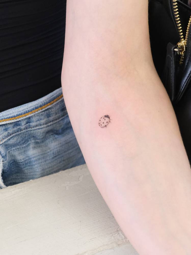 Micro ladybug tattoo located on the inner forearm.