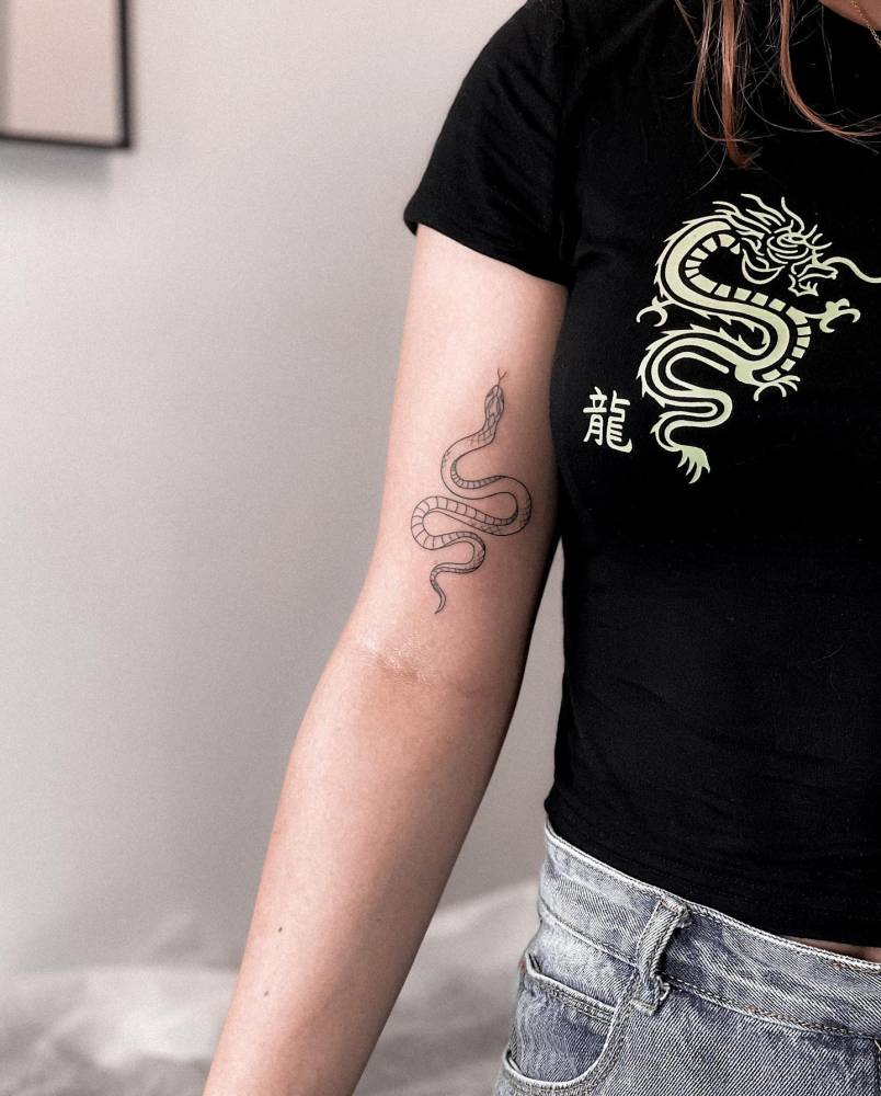 Fine line style snake tattoo placed on the bicep.