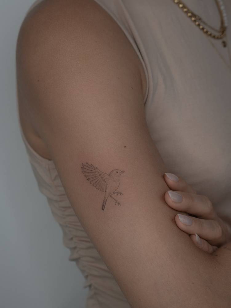 Single needle robin tattoo located on the upper arm.
