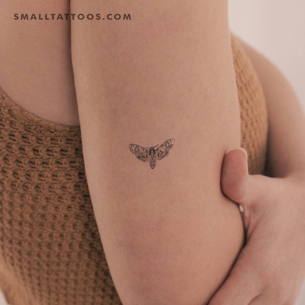 Small moth temporary tattoo located on the tricep.