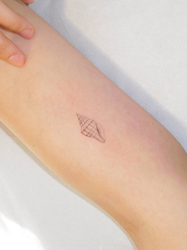 Single needle tulip shell tattoo located on the inner arm.
