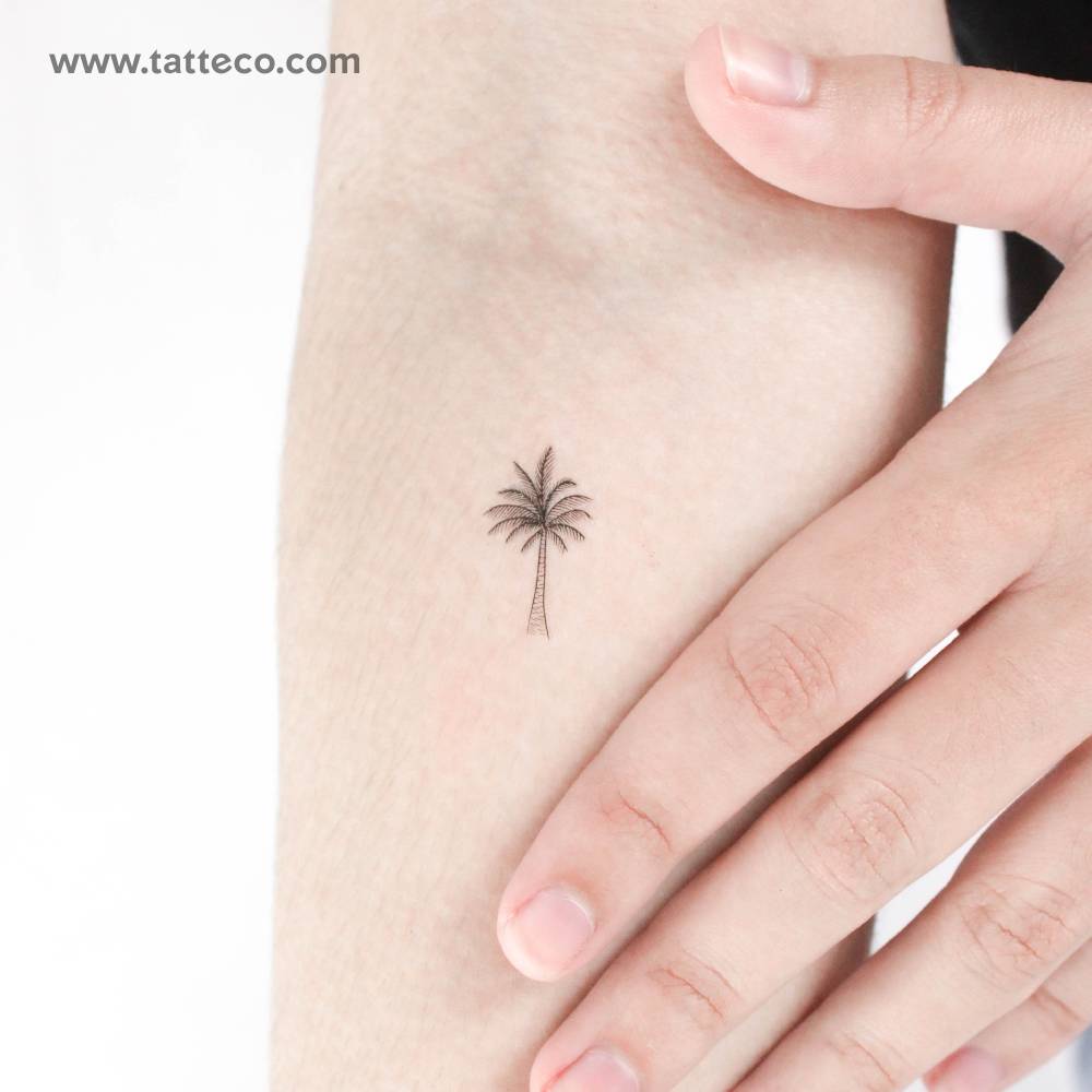 Fine line palm tree temporary tattoo located on the inner forearm.