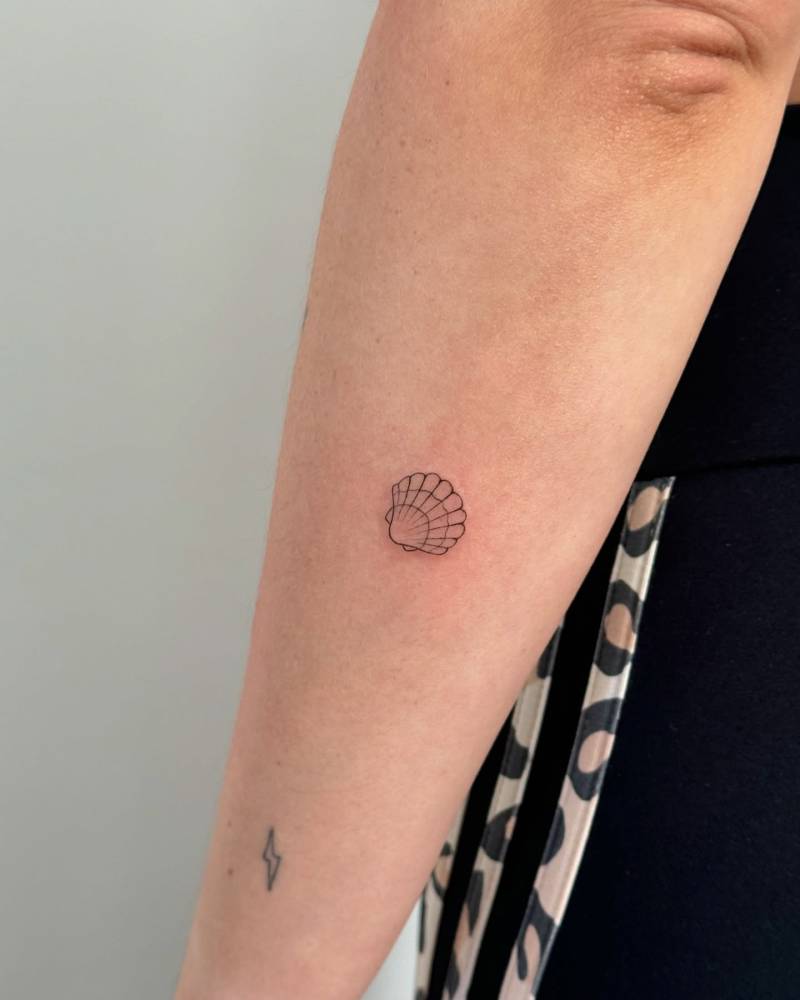 Little scallop shell tattoo in fine line style located on the forearm.
