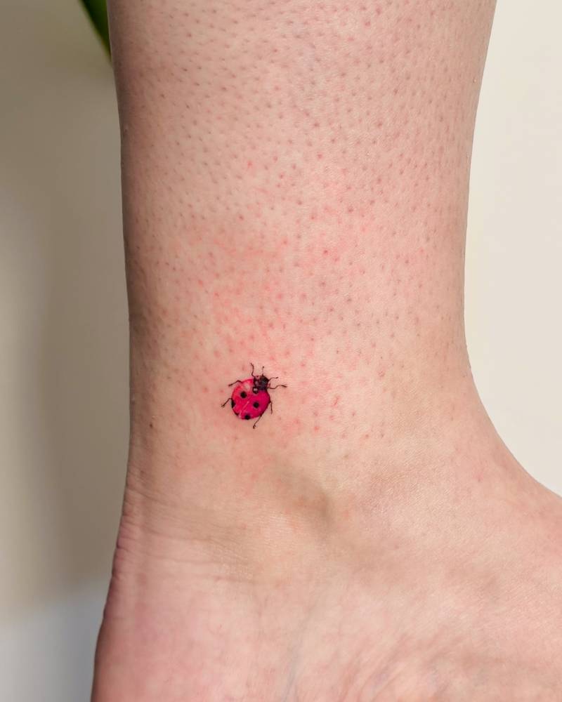 Ladybug tattoo in illustrative style placed on the ankle.