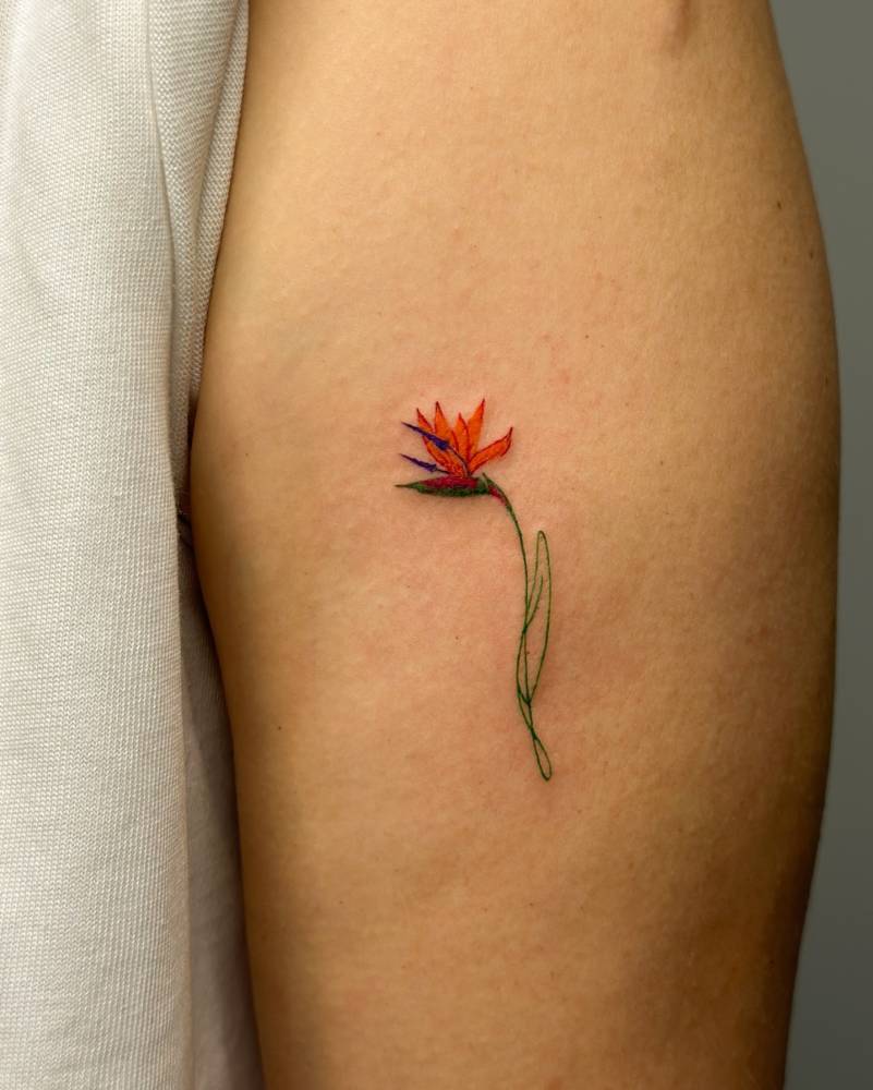 Bird of paradise flower tattoo located on the upper arm.