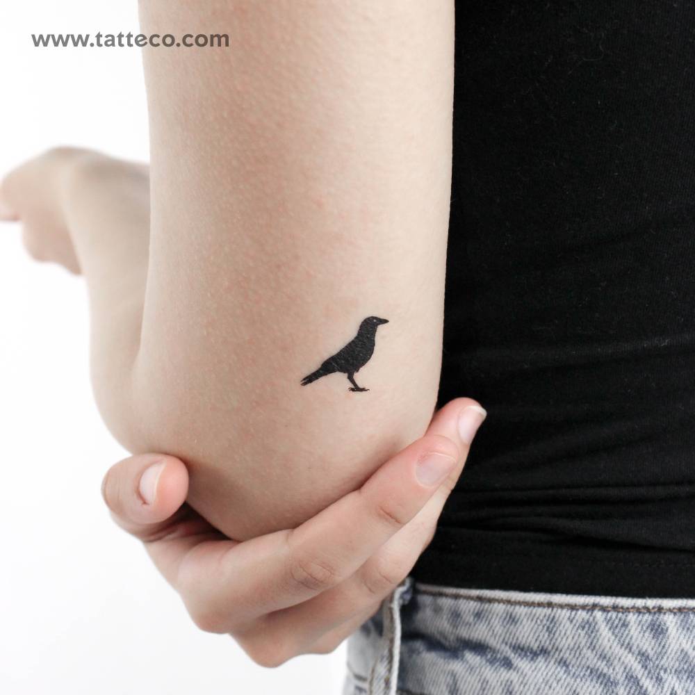 Blackwork style raven temporary tattoo located on the tricep.