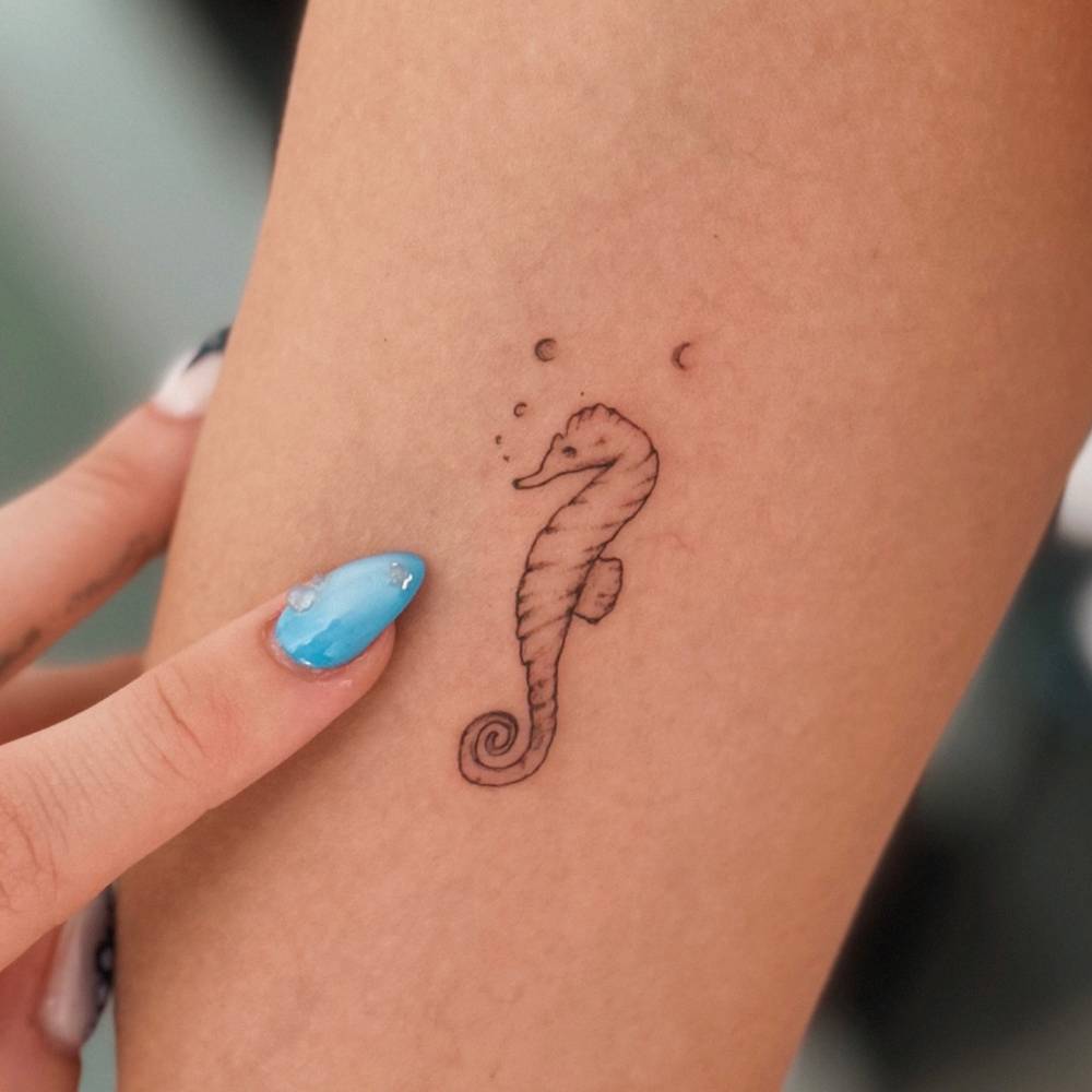 Seahorse tattoo in illustrative style located on the inner forearm.