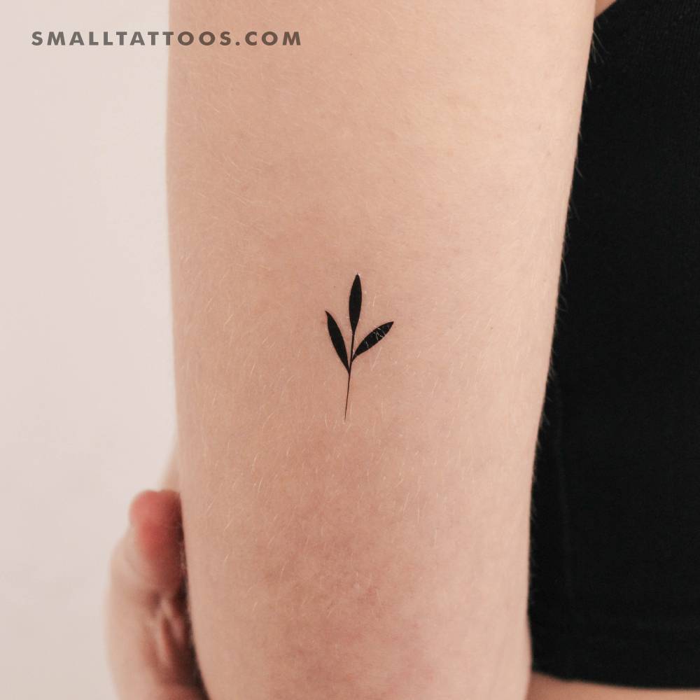 Minimalisttic style sprout temporary tattoo located on the tricep.