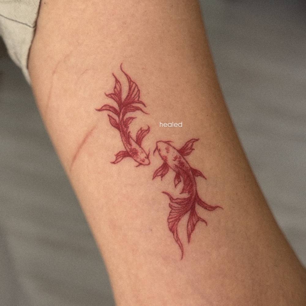 Healed two opposite fish tattoo in red ink located on the bicep.