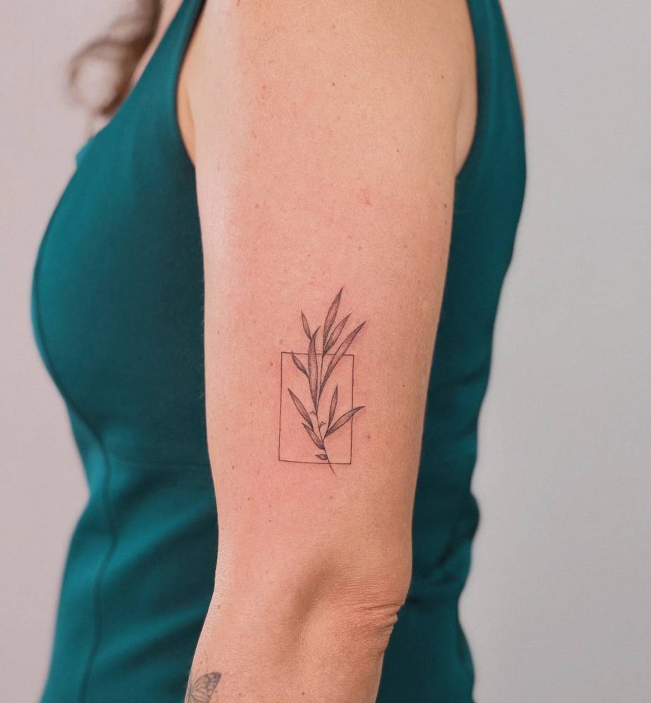 Willow leaves tattoo located on the upper arm.
