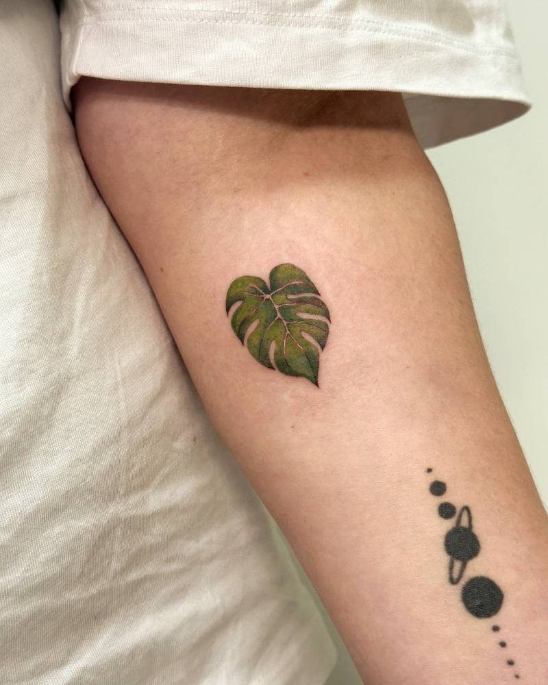Illustrative style monstera leaf tattoo located on the inner forearm.