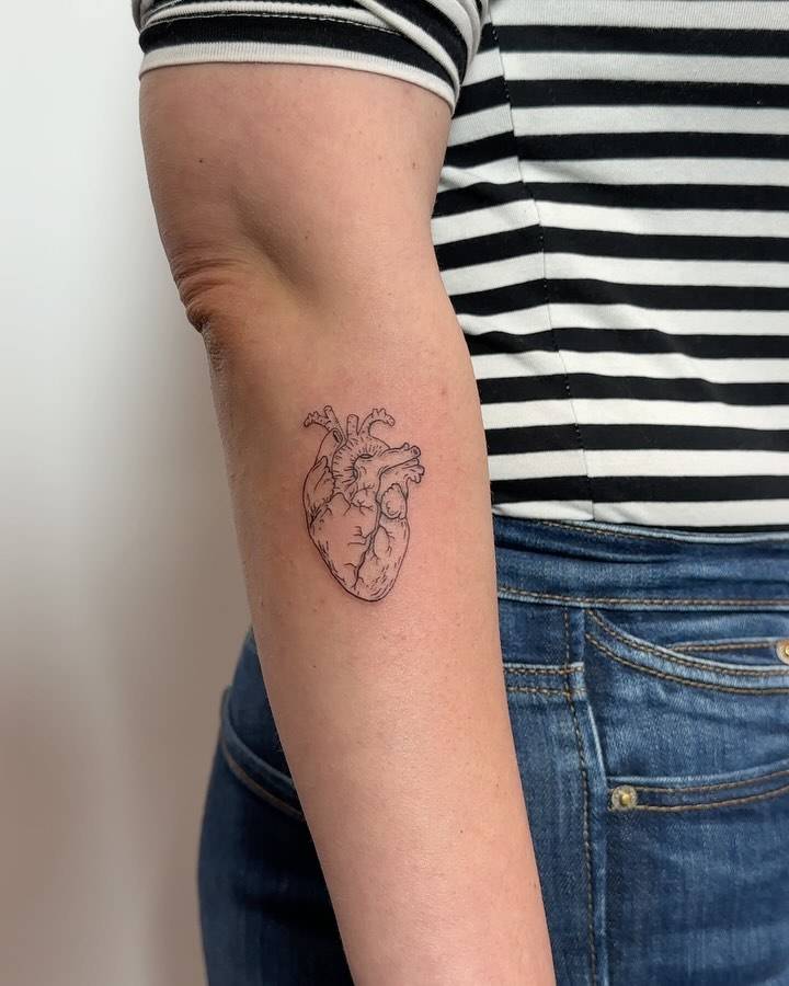 Fine line style anatomical heart tattoo done on the forearm.
