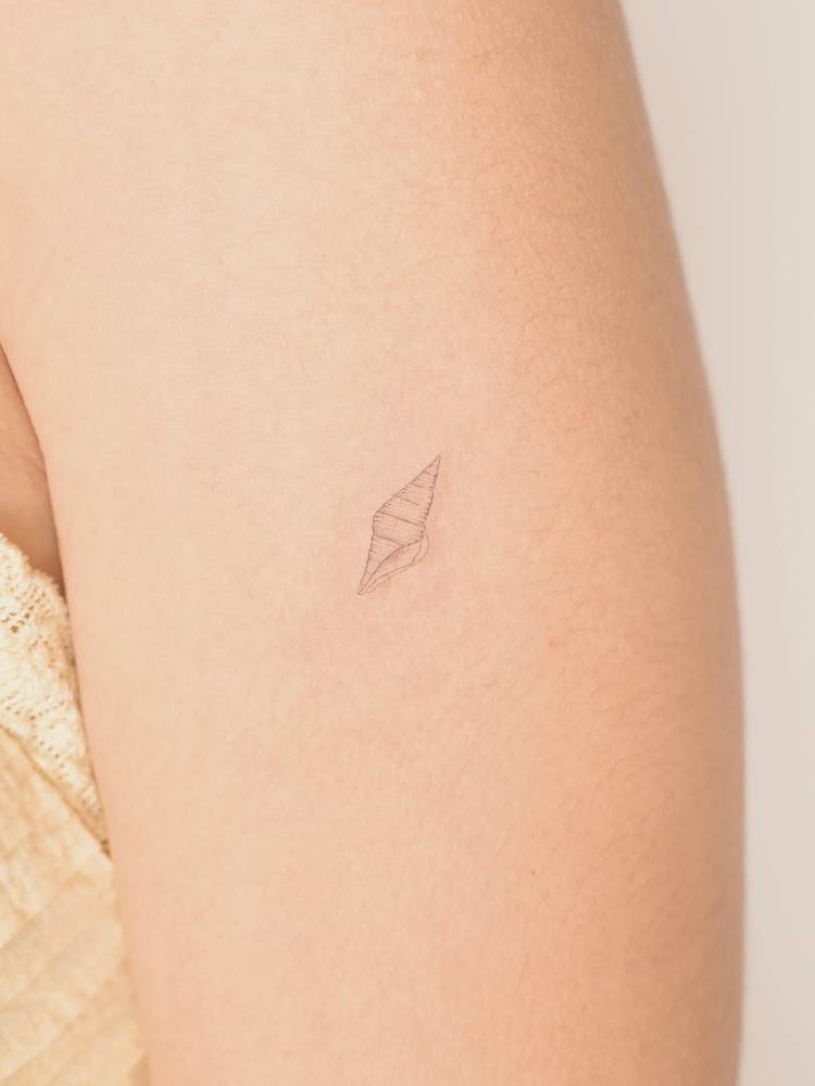Tulip shell tattoo in fine line style located on the upper arm.
