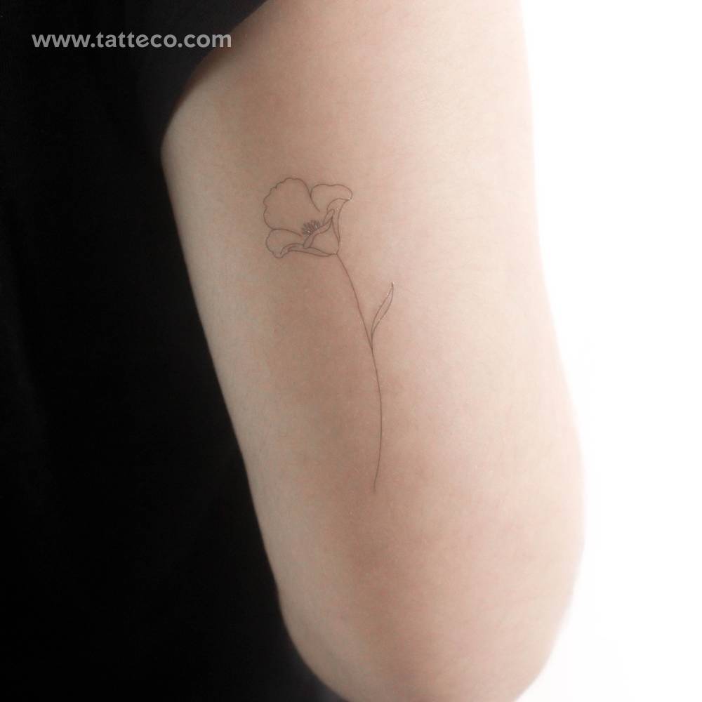 Fine line style poppy flower by Jakenowicz temporary tattoo.