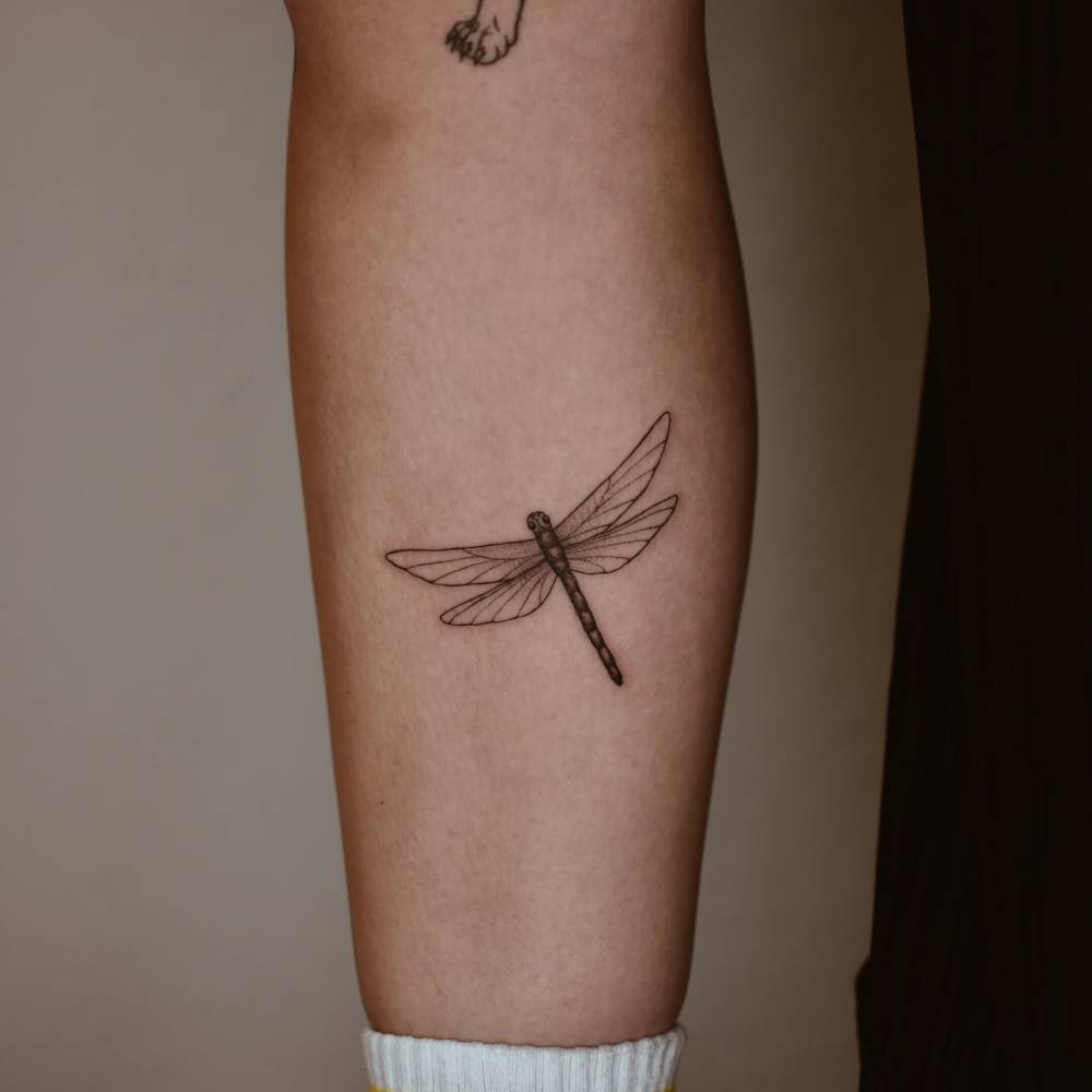 Illustrative style dragonfly tattoo located on the calf.