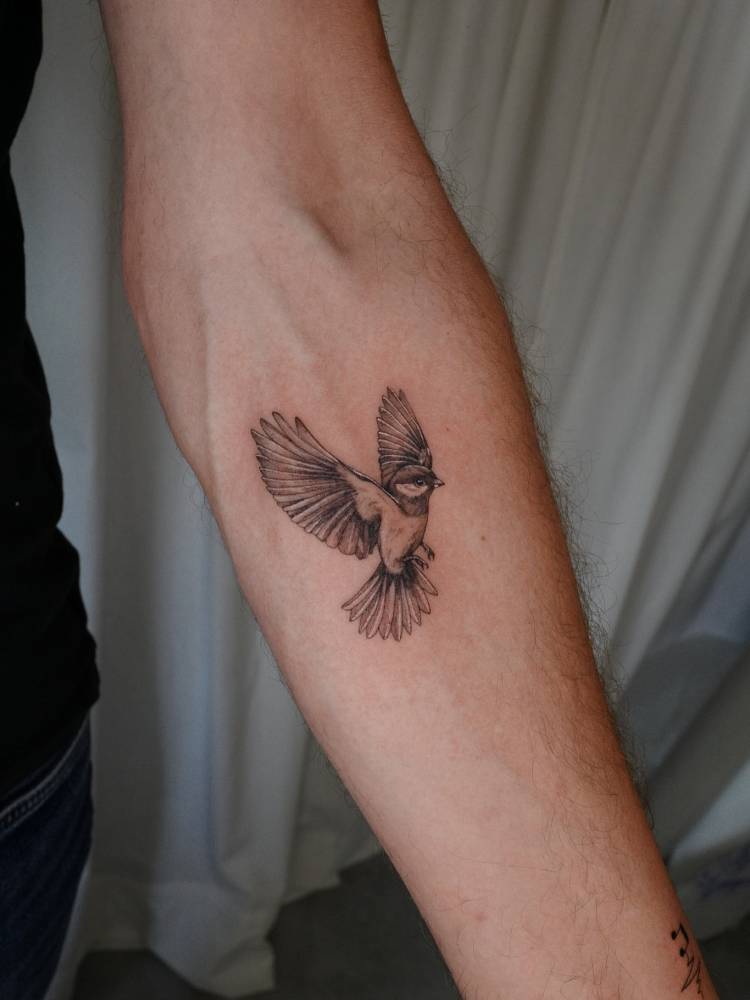 Sparrow tattoo located on the inner forearm, done in illustrative style.