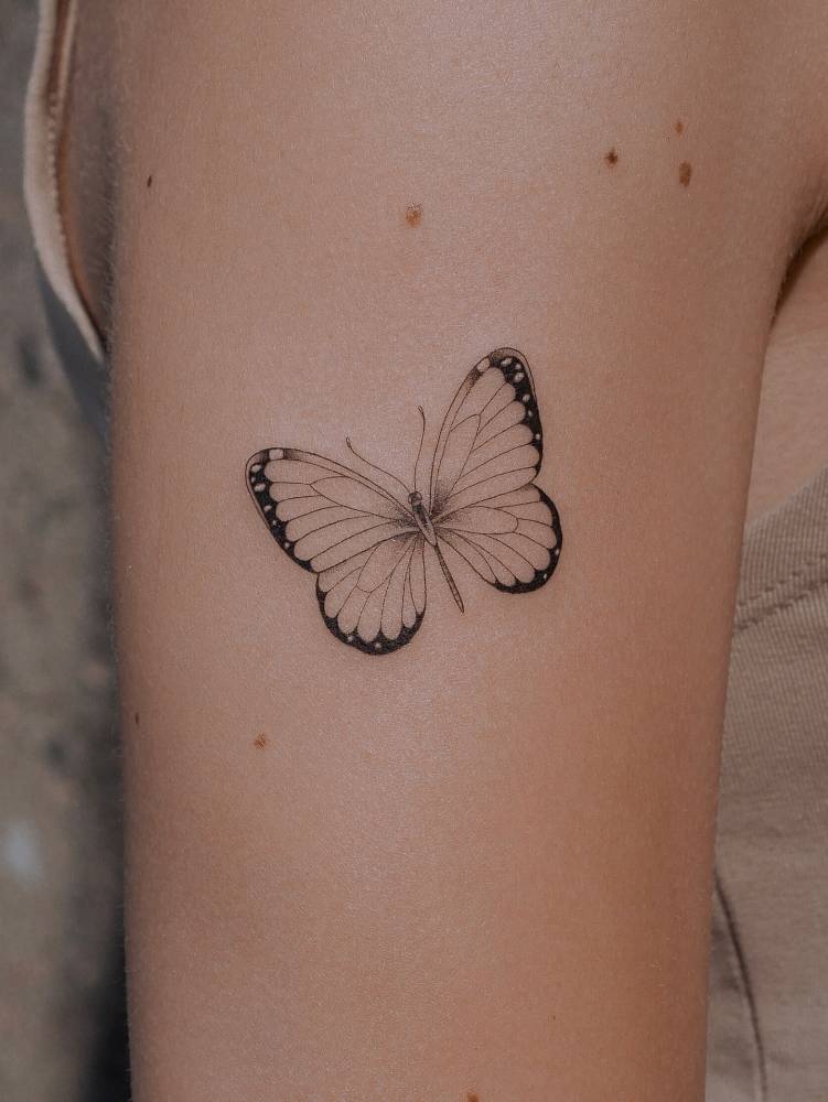 Illustrative style butterfly tattoo located on the upper arm.