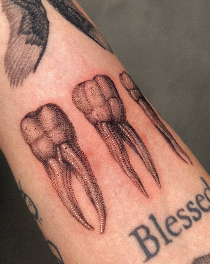 Teeth tattoo in dotwork style located on the bicep.