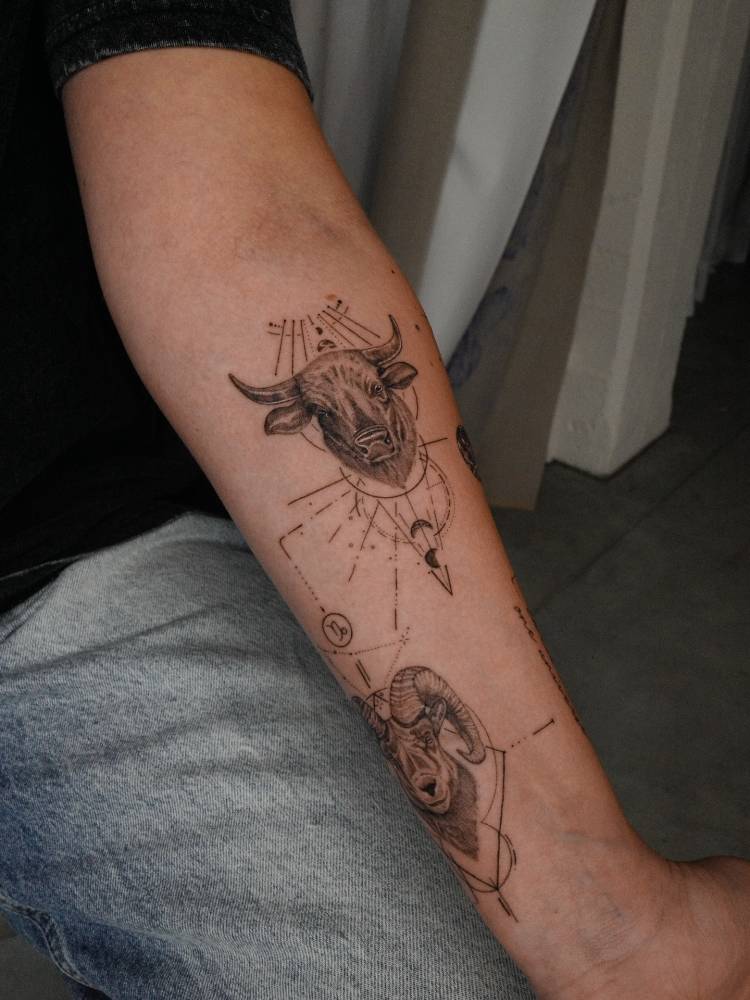 Graphic style bull portrait tattoo located on the inner forearm.