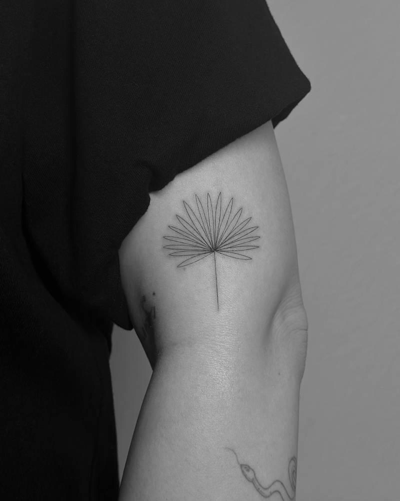 Fine line style palm leaf tattoo located on the upper arm.