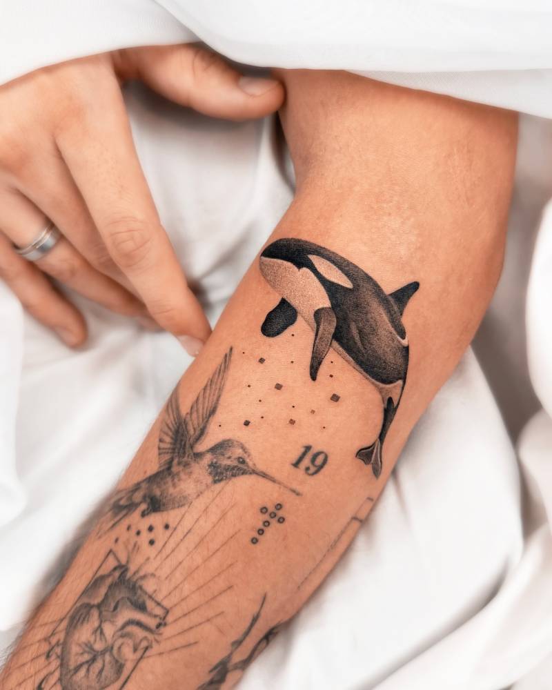 Orca tattoo in micro-realistic style located on the forearm.
