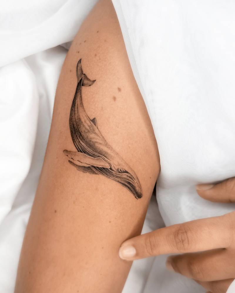 Micro-realistic style whale tattoo located on the upper arm.