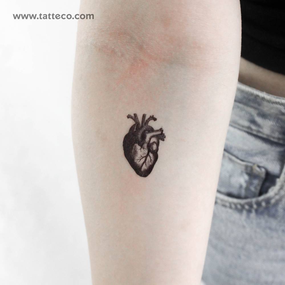 Engraving anatomical heart temporary tattoo located on the inner forearm.