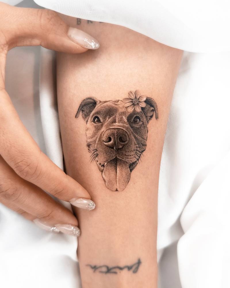 Pit Bull portrait tattoo in micro-realistic style located on the inner forearm.