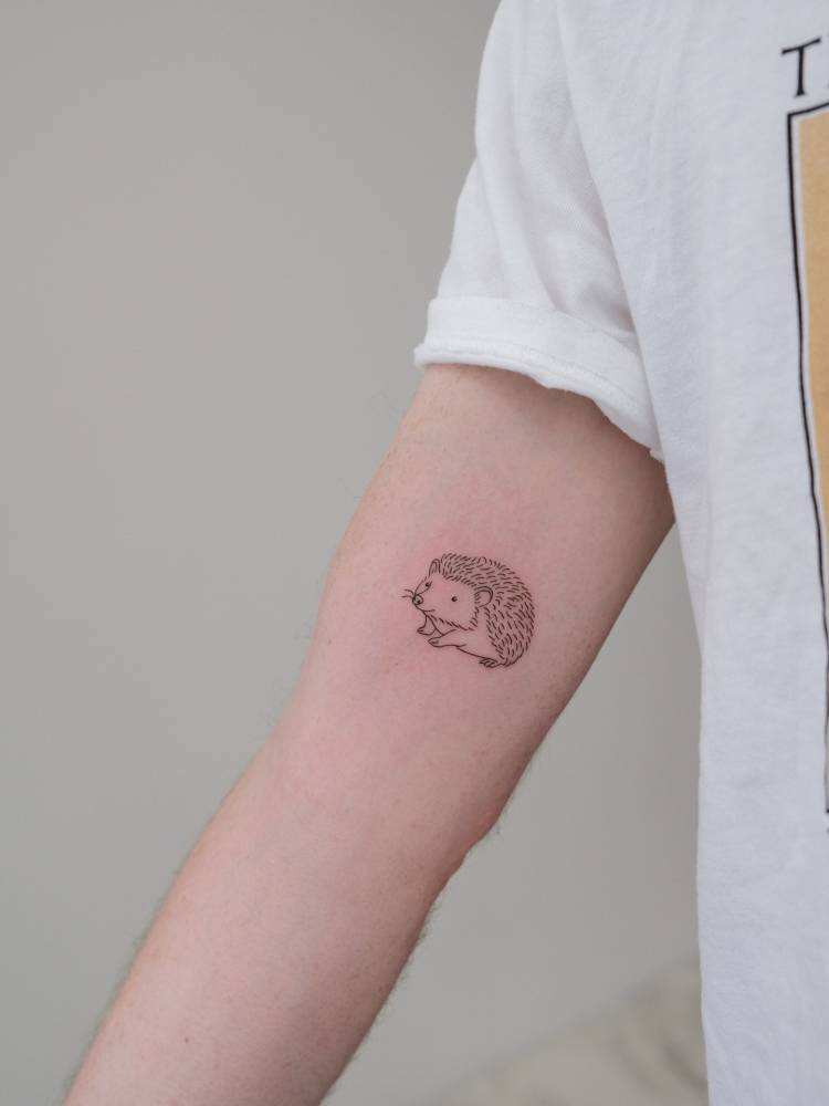 Tiny hedgehog tattoo in fine line style placed on the inner arm.