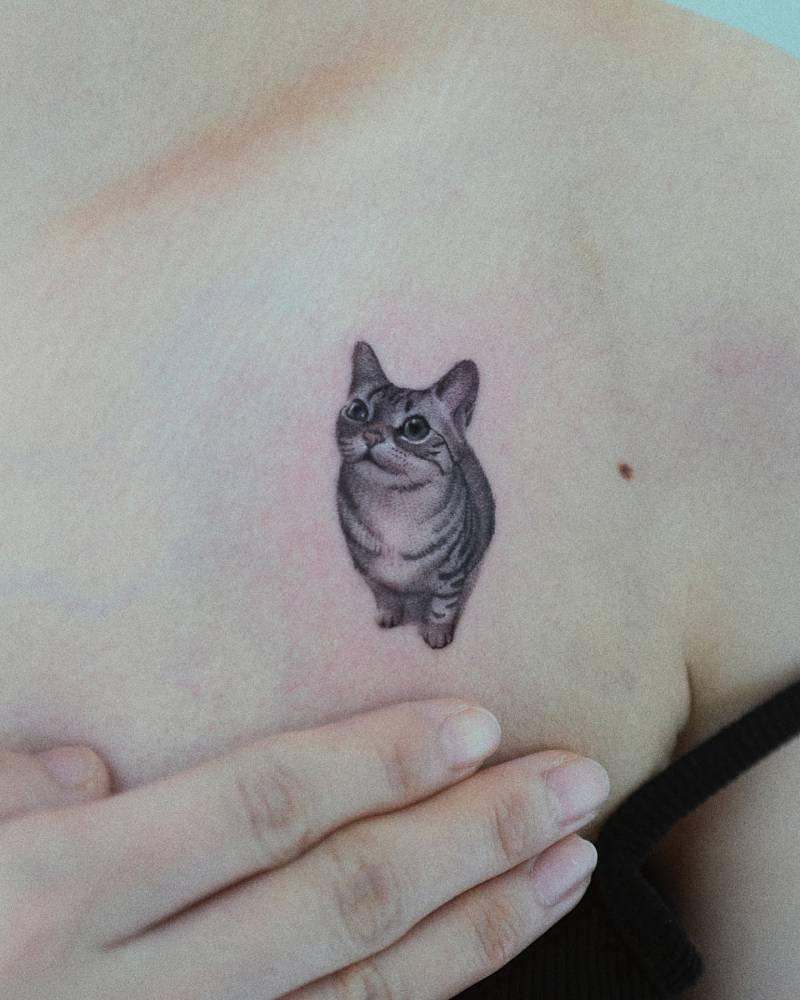 Micro-realistic style cat tattoo located on the chest.