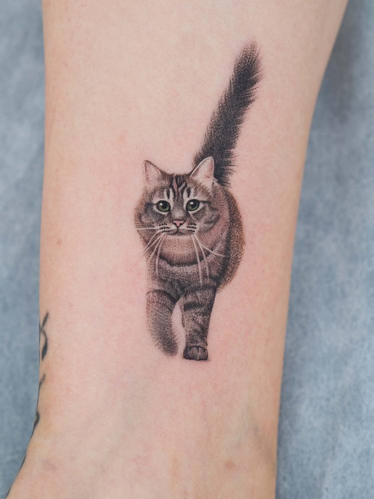 Cat tattoo in micro-realistic style located on the ankle.