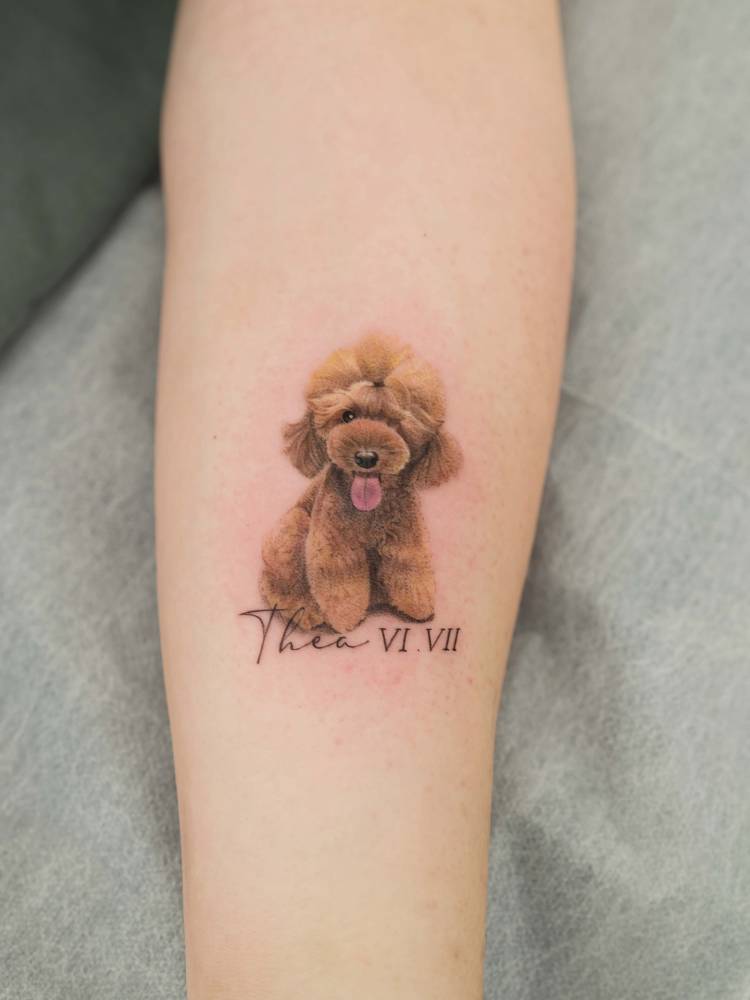 Micro-realistic style Poodle tattoo located on the inner forearm.