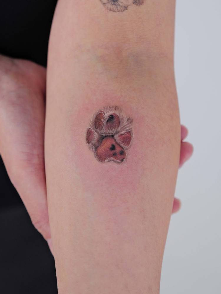 Dog paw tattoo placed on the inner forearm, micro-realistic style.
