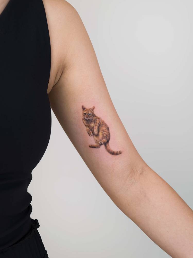 Cute micro-realistic style cat tattoo done on the inner arm.