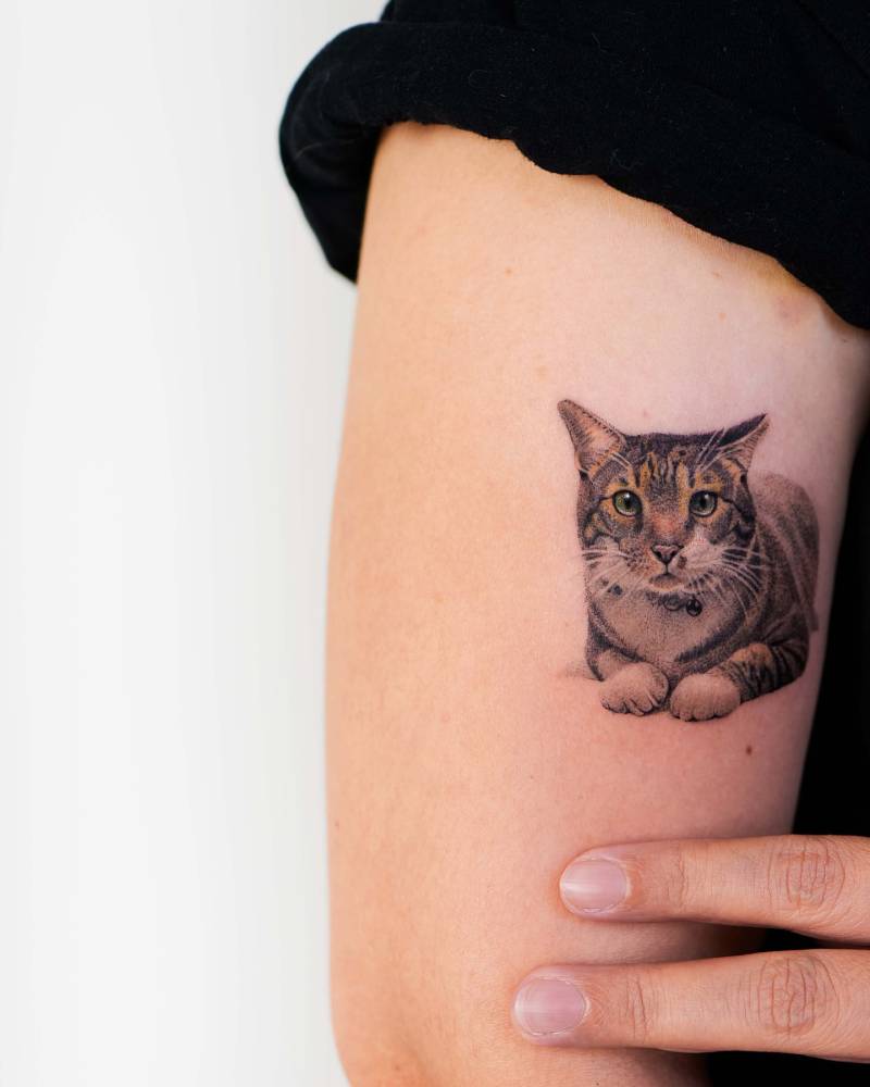 Cat portrait tattoo in micro-realistic style located on the upper arm.